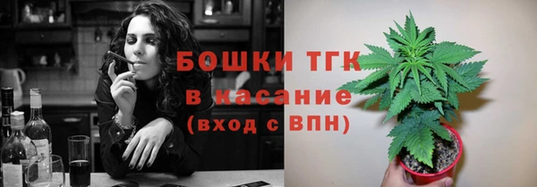 дурь Верхний Тагил